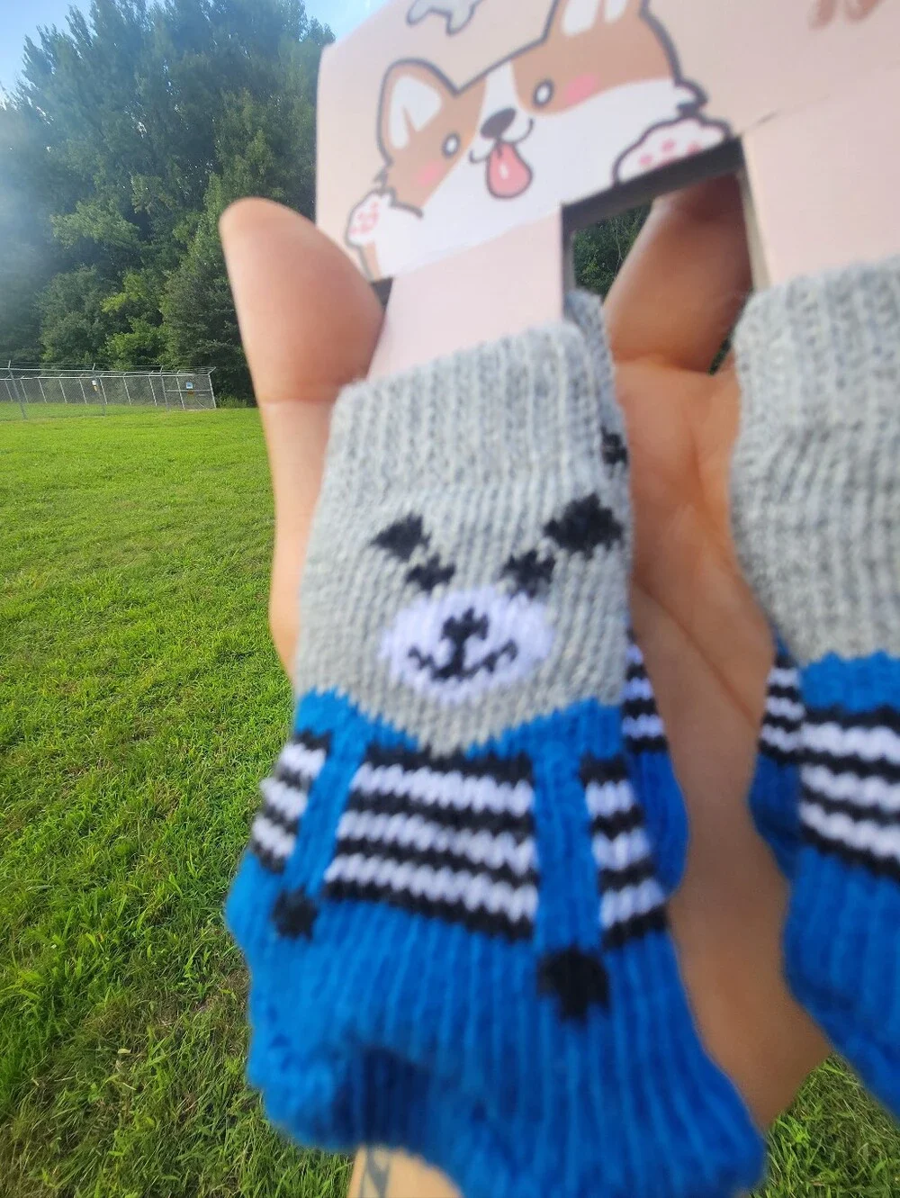 Cute Racoon Non-Slip Pet Socks
